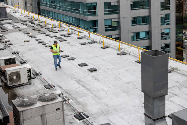 Best Roof Coating and Sealing  in Brookhaven, MS
