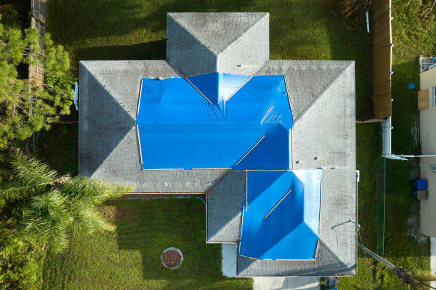 Best Roof Moss and Algae Removal  in Brookhaven, MS